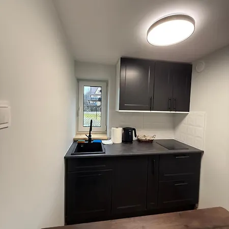 Piekne Z Widokiem Na Gory 公寓 比利但耶克